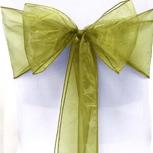Elegant Sheer Green Party Bow